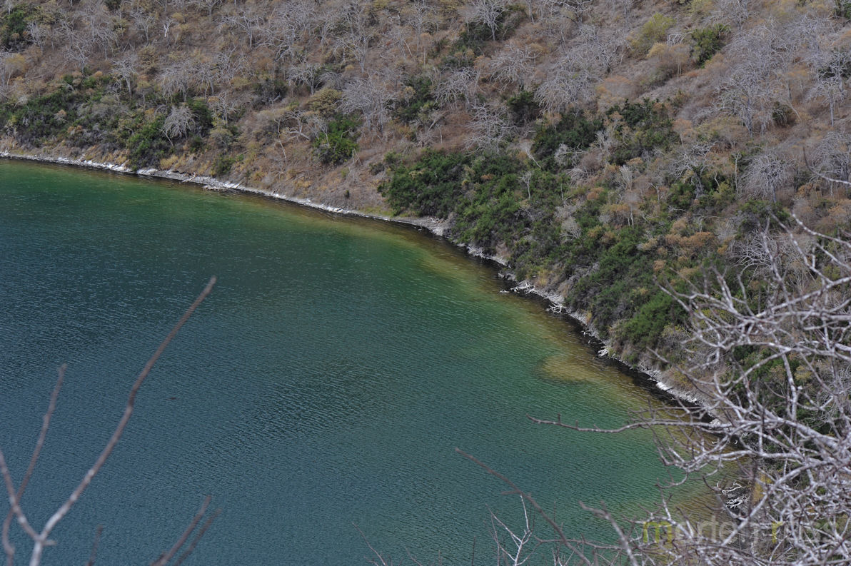 Darwin Lake