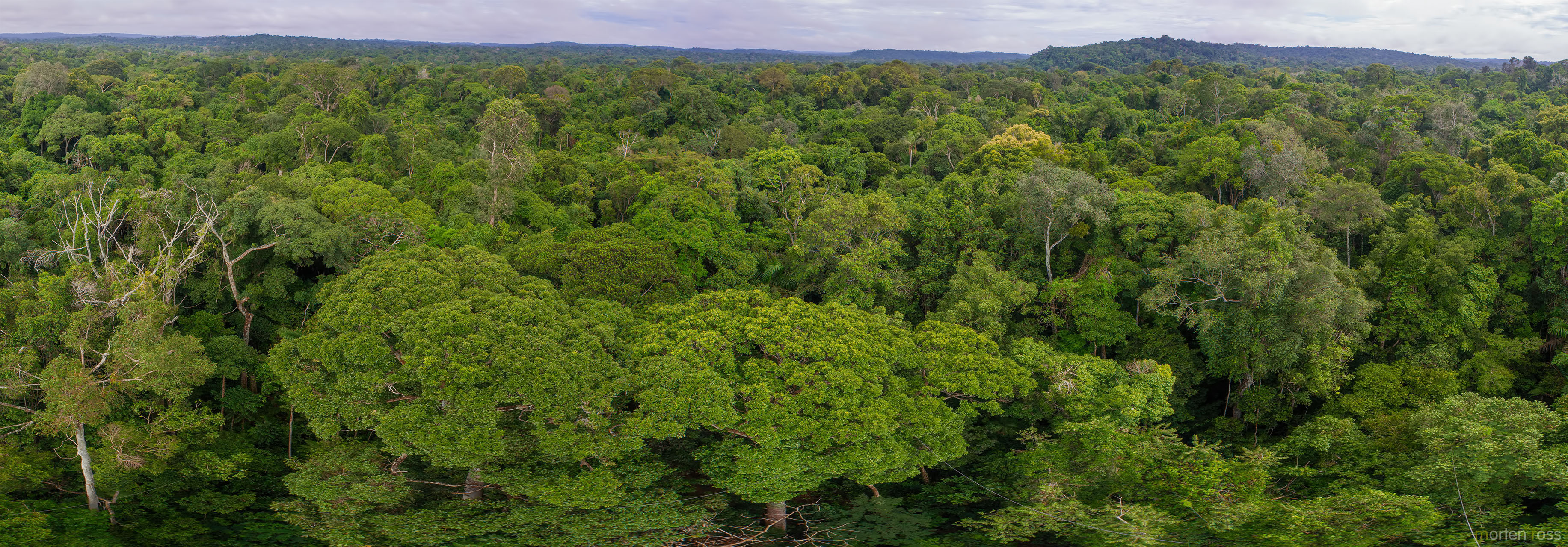 Cristalino Jungle Lodge canopy tower