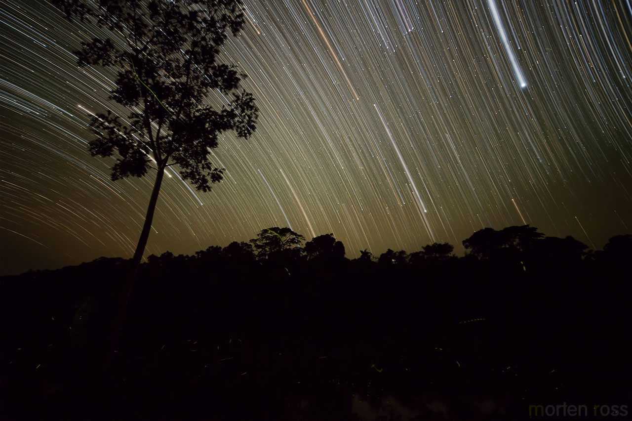 Madre de Dios star trails