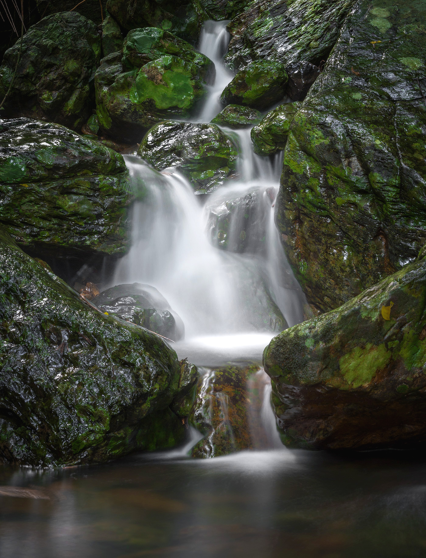 Principe creek