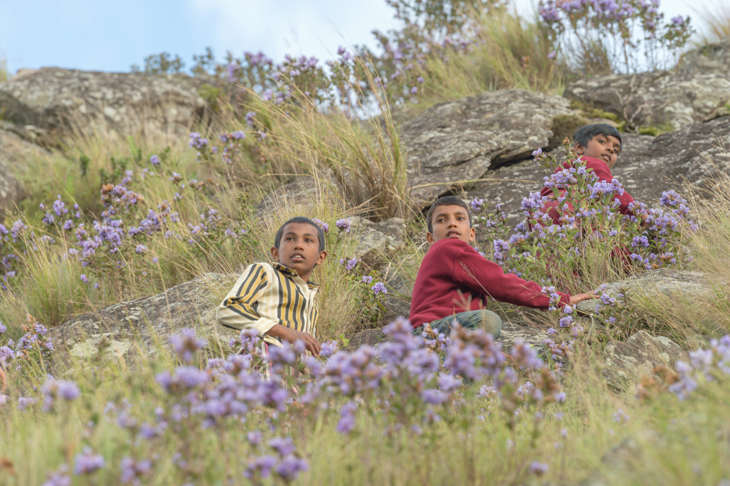 Children of the neelakurinji